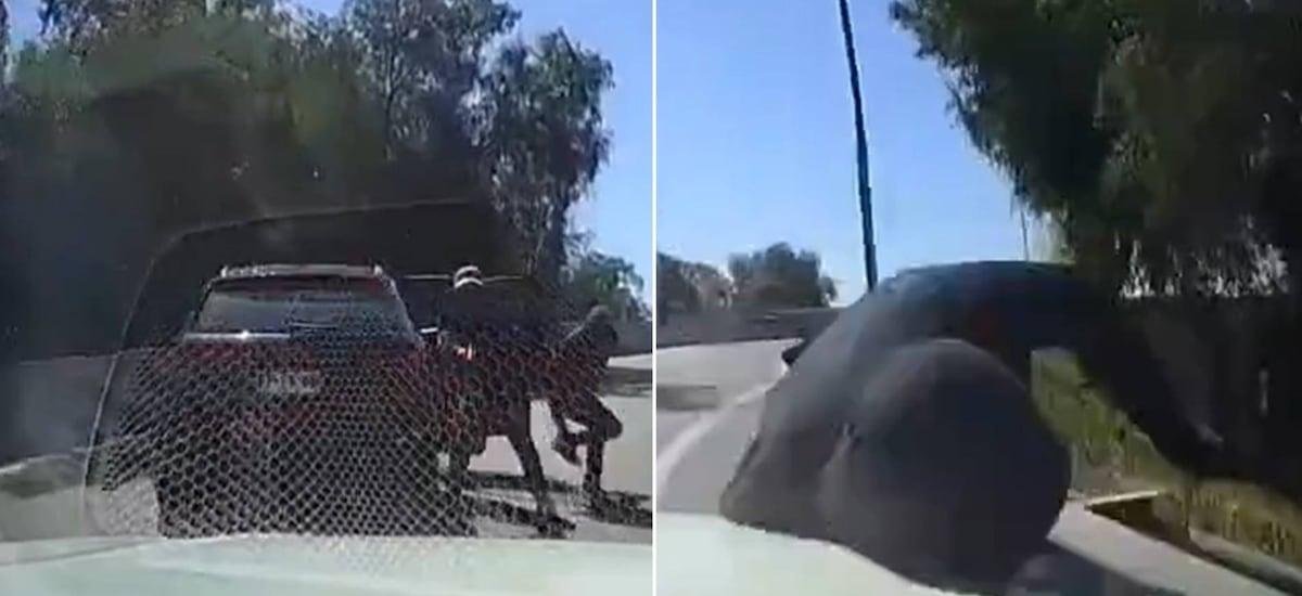Delincuente quiso hacer una encerrona y terminó atropellado: Fiscalía investiga robo con intimidación tras ataque en Quilicura