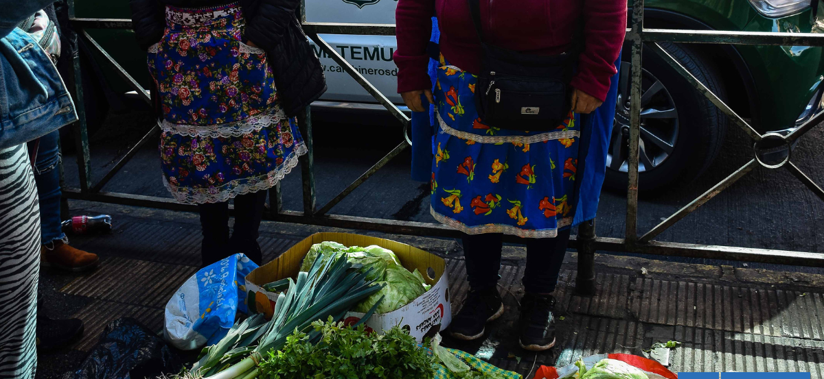 Hortaliceras mapuche siguen sin acuerdo con municipio de Temuco ante futuro cierre del Paseo Bulnes