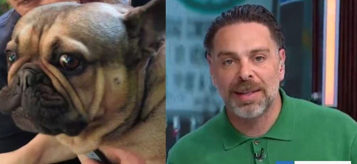 Neme lamenta nueva muerte de uno de su perros, el segundo en menos de dos meses