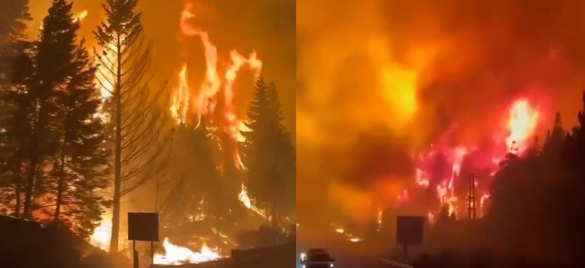 Humo de incendios en la Patagonia alcanza la Antártica y amenaza con la pérdida de millones de toneladas de hielo - La Tercera