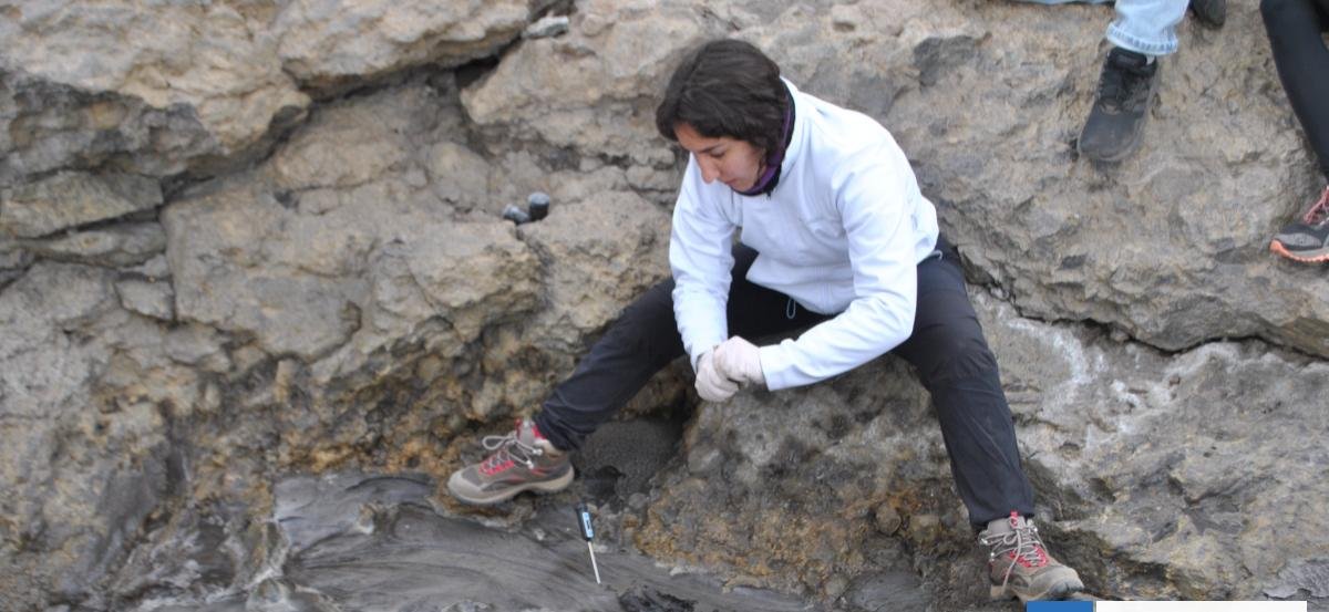 Bióloga descubrió cómo una bacteria del volcán Copahue puede sobrevivir a condiciones letales