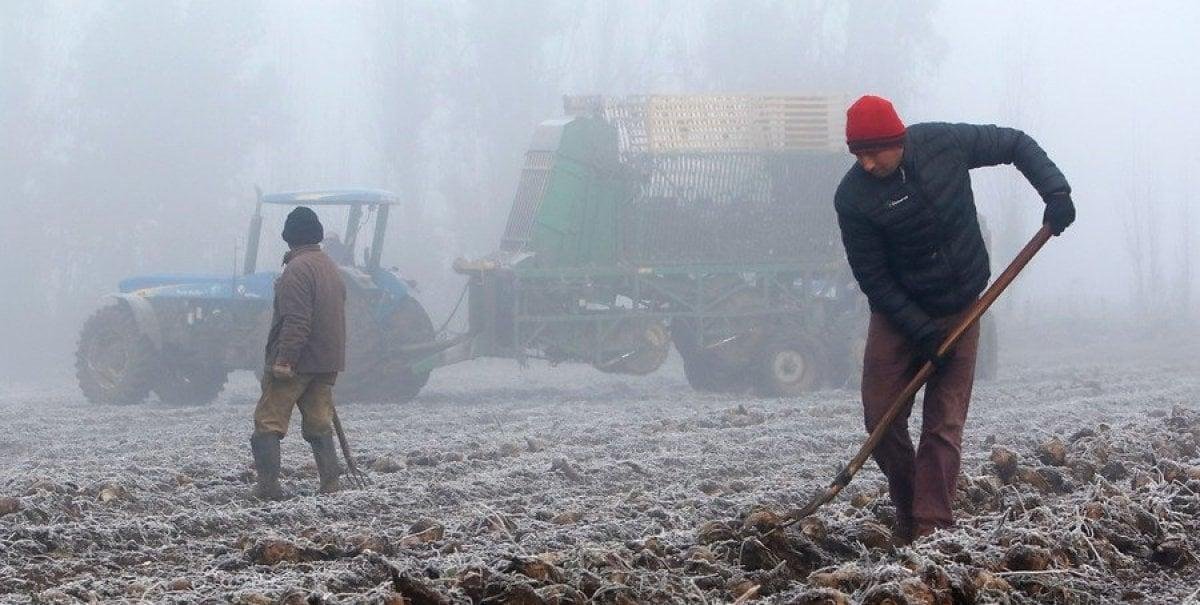 Artículo que reconoce la ruralidad como expresión territorial pasa al borrador de nueva Constitución