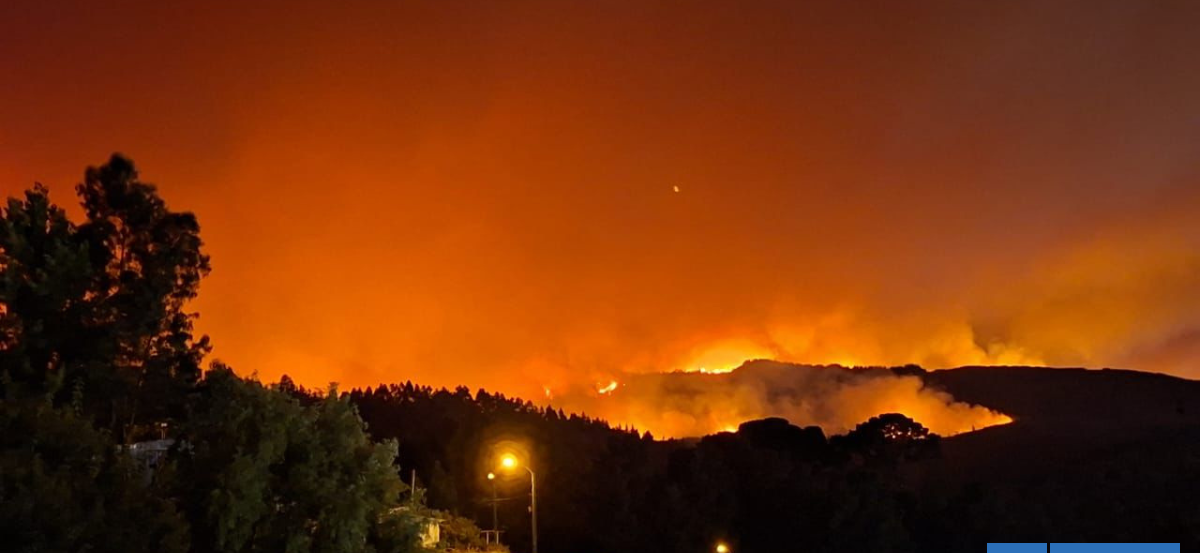 Incendio afecta al sector Puente 1 en Concepción: se amplía alerta roja provincial