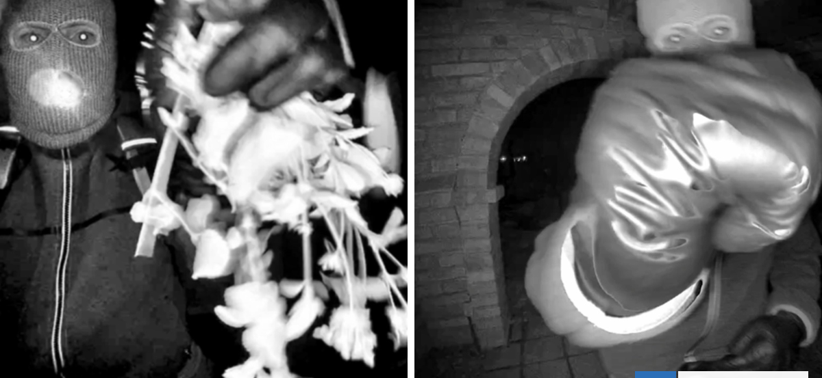Publican fotos de sospechoso de secuestro de madre de periodista de NBC: manipuló cámara de vigilancia