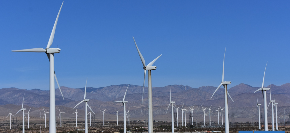 Magallanes tendrá su primer parque eólico de gran escala: alimentará la industria del hidrógeno verde