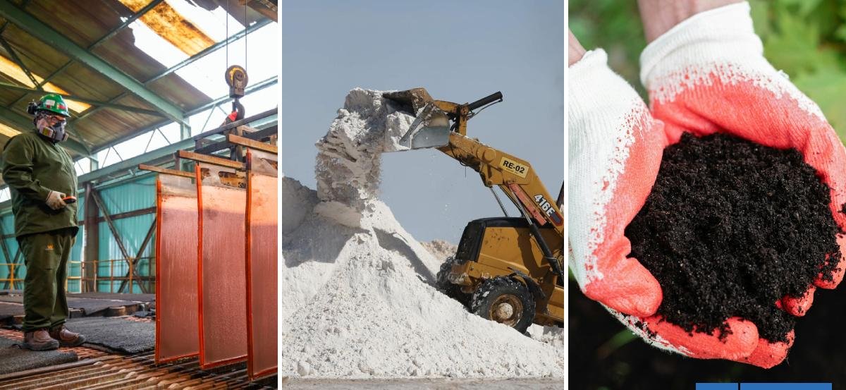 Estos son los 14 minerales declarados críticos para Chile: incluye cobre, litio, oro y tierras raras