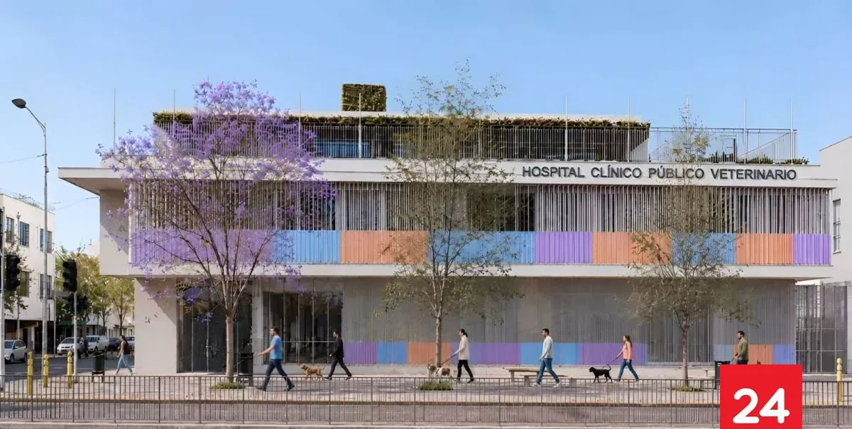 Inversión supera los $5 mil millones: anuncian primer Hospital Clínico Público Veterinario en San Joaquín