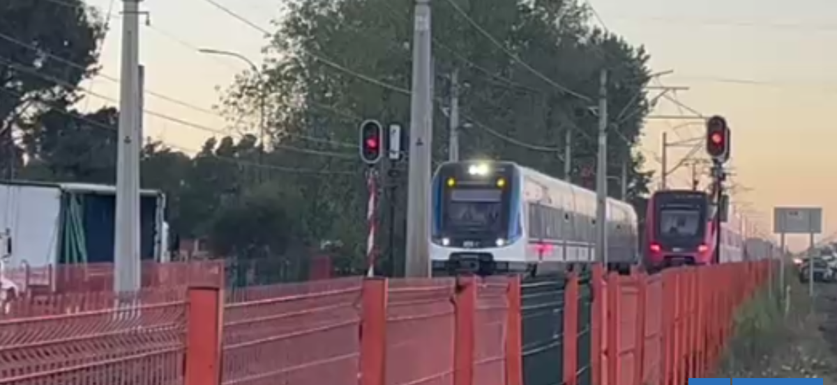 Peatón muere tras ser atropellado por Biotren en Coronel: servicio en L2 sufre alteración de horarios