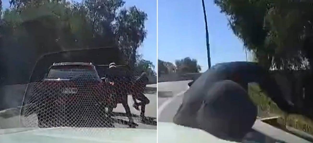 “¡Oh, que reaccionaste bien, hue...!”: hábil chofer zafa de encerrona y hace volar a asaltante que chocó en veloz huida